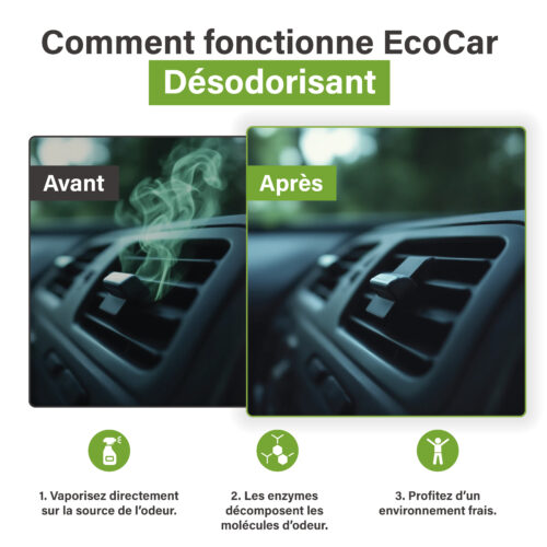 Voor-en-na vergelijking van autoventilatie met EcoCar Ontgeurder