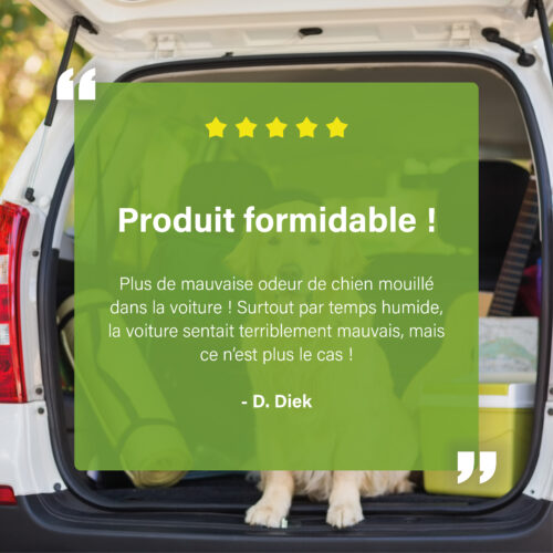 Chien dans le coffre avec avis client sur le Désodorisant EcoCar