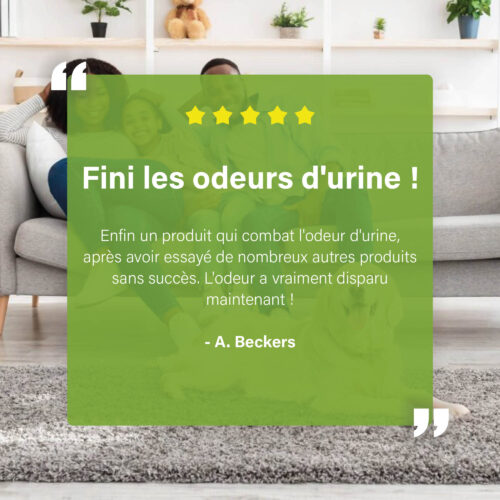 Klantreview over het verwijderen van urinelucht, geplaatst op een groene transparante overlay voor een foto van een gezin op een bank.