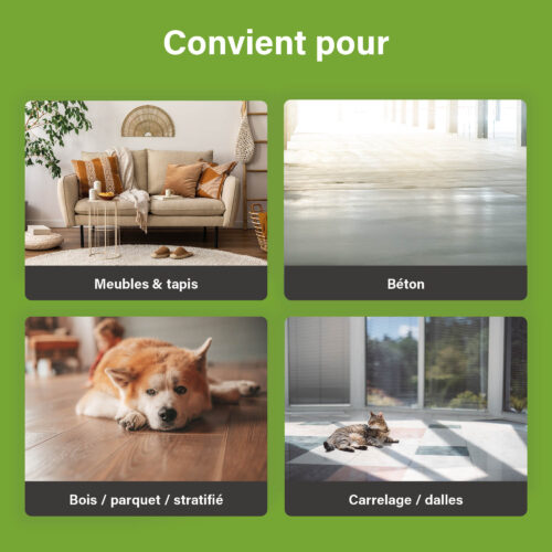 Overzichtsafbeelding met vier voorbeelden van oppervlakken waarop UF2000 gebruikt kan worden: meubels en tapijten, beton, hout/parket/laminaat en tegels/plavuizen.