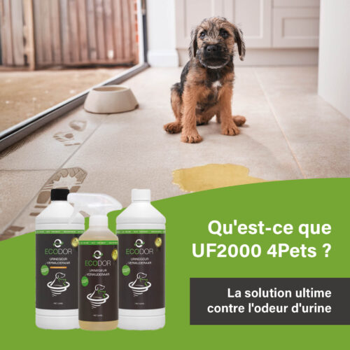 Afbeelding met een puppy die naast een plas urine op de vloer zit, met onderaan drie flessen UF2000 4Pets en de tekst “Wat is UF2000 4Pets?”.