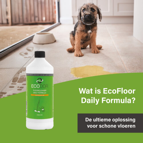 Chiot sur un carrelage à côté d'une flaque d'urine avec le nettoyant pour sols Ecodor EcoFloor Daily Formula. Convient aux foyers avec animaux domestiques.